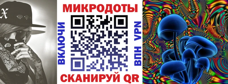 Псилоцибиновые грибы Psilocybe  наркота  Кущёвская 